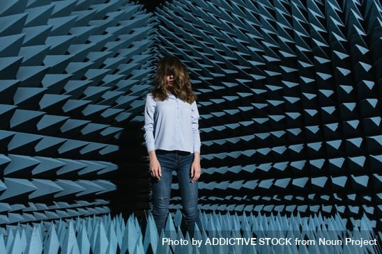 מערכות מוזיקה מרובות חדרים